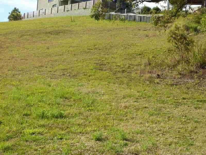 6  The Bridle Path, Tallwoods Village NSW 2430