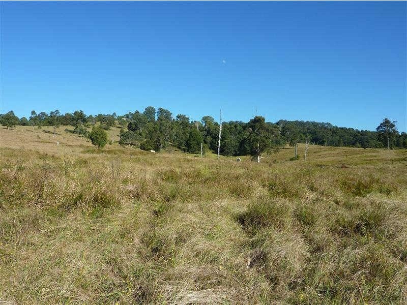 287  Firefly Rd, Krambach NSW 2429