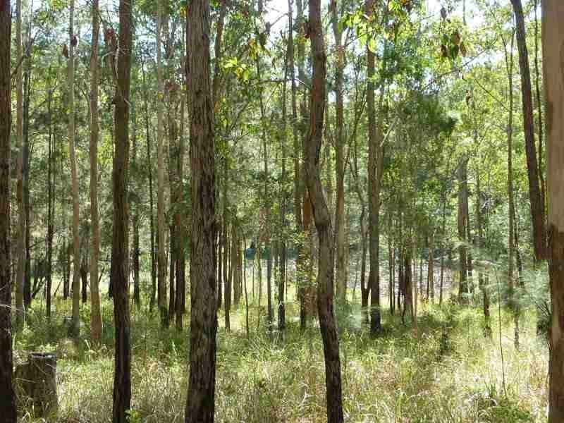 55  Bonvale Cl, Rainbow Flat NSW 2430