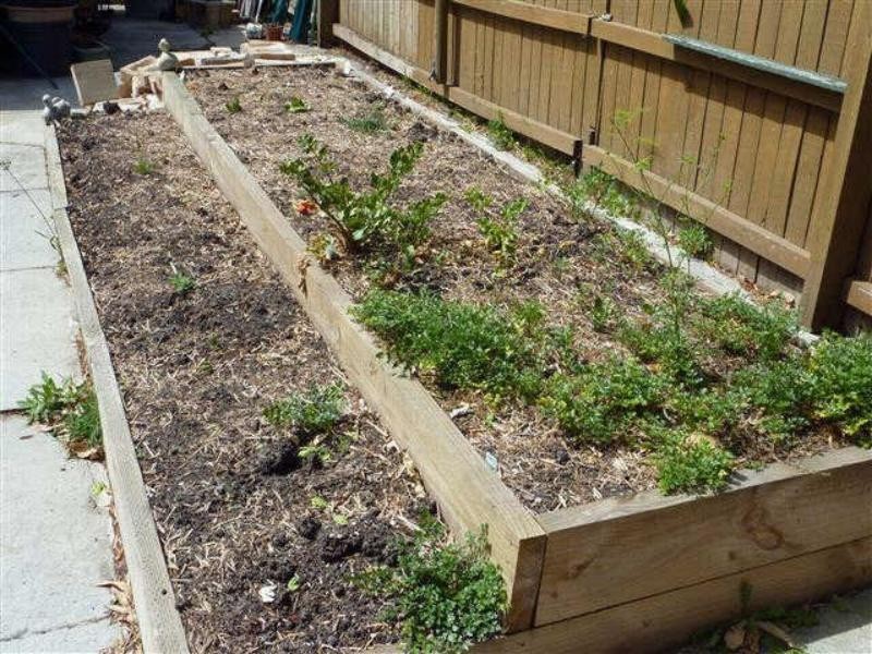 86 Breckenridge St, Forster NSW 2428