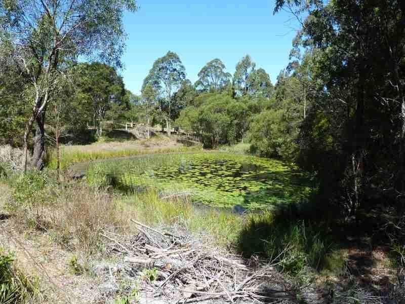 20  Kiwarrak Dr, Rainbow Flat NSW 2430