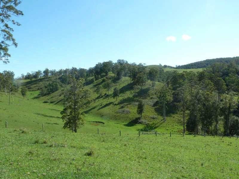 700 Curreeki Creek Rd, Coolongolook NSW 2423