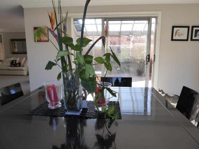 21  Delore Cres, Tuncurry NSW 2428