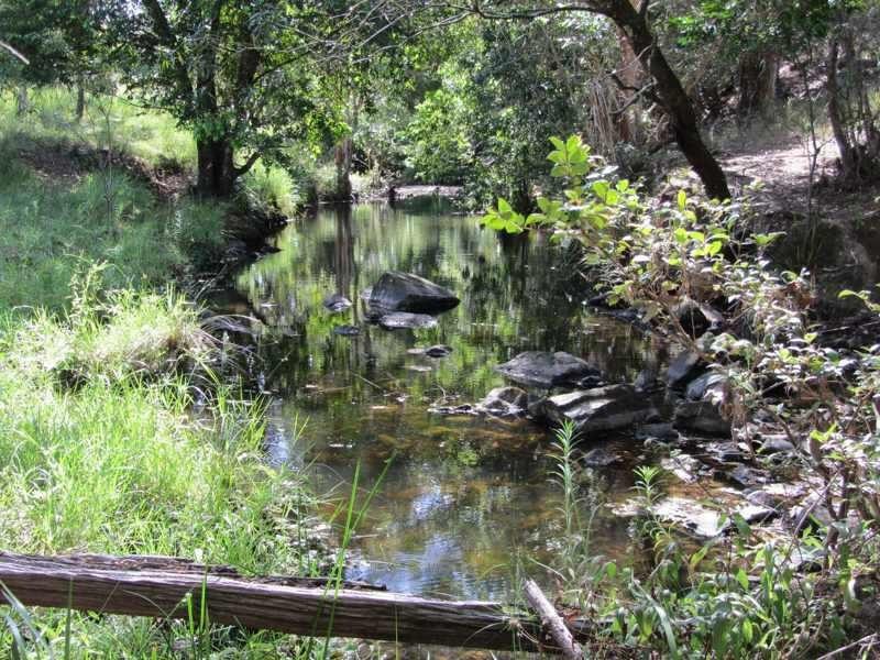 1925  Willina Rd, Bunyah NSW 2429