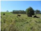 1925  Willina Rd, Bunyah NSW 2429