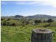 1925  Willina Rd, Bunyah NSW 2429