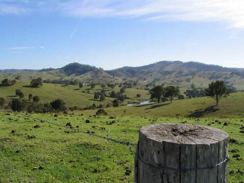 1925  Willina Rd, Bunyah NSW 2429