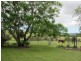 1925  Willina Rd, Bunyah NSW 2429