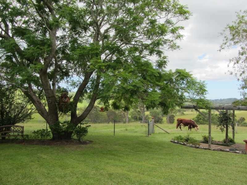 1925  Willina Rd, Bunyah NSW 2429