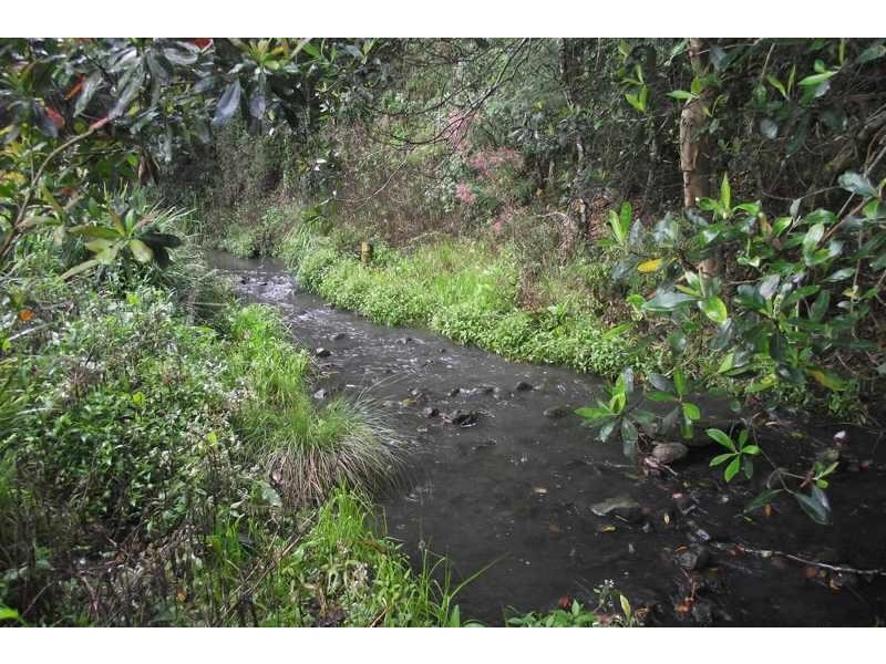 8/1925 Willina Rd, Bunyah NSW 2429