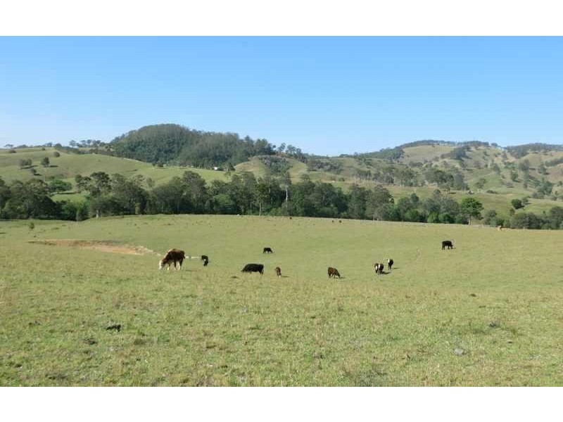 8/1925 Willina Rd, Bunyah NSW 2429