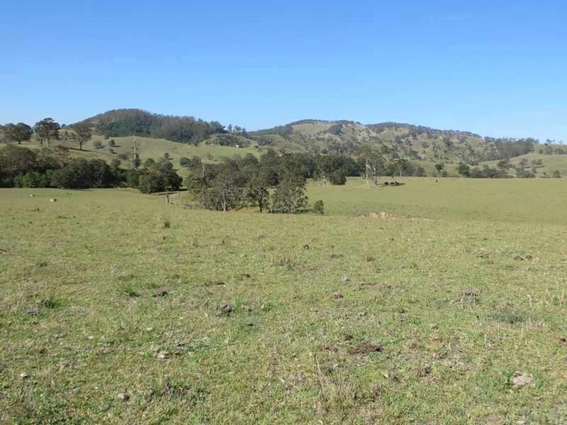 8/1925 Willina Rd, Bunyah NSW 2429