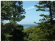 6  Konda Pl, Forster NSW 2428