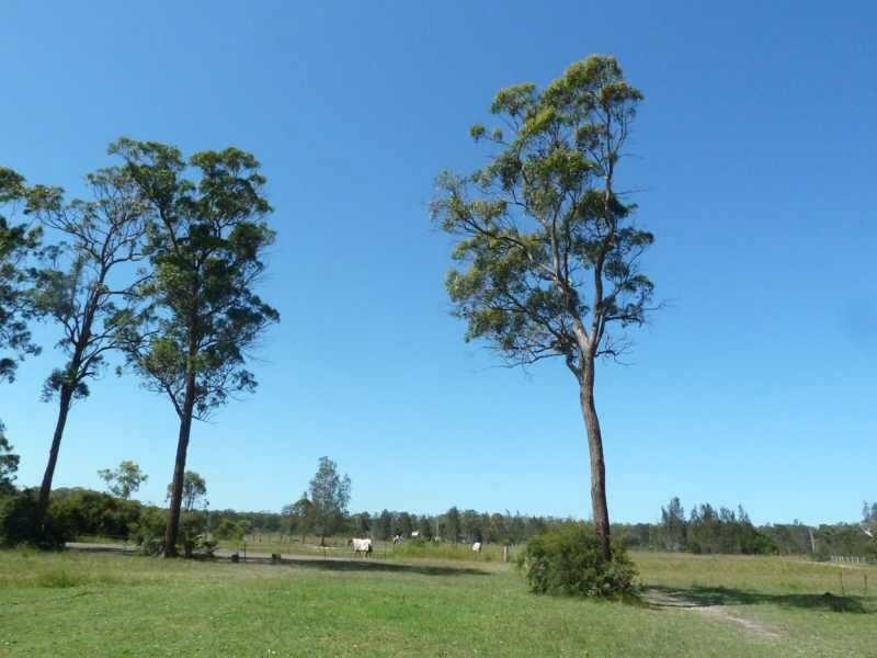 100  Blackbutt Dr, Failford NSW 2430