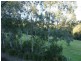 49  Hilltop Pkwy, Tallwoods Village NSW 2430