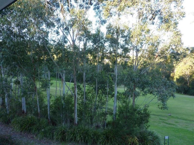 49  Hilltop Pkwy, Tallwoods Village NSW 2430