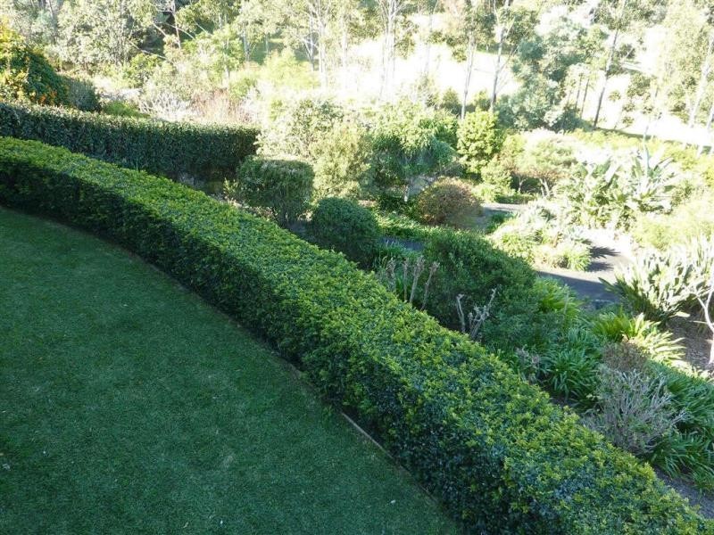 20 The Saddle -, Tallwoods Village NSW 2430