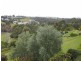 67  Hilltop Pkwy, Tallwoods Village NSW 2430