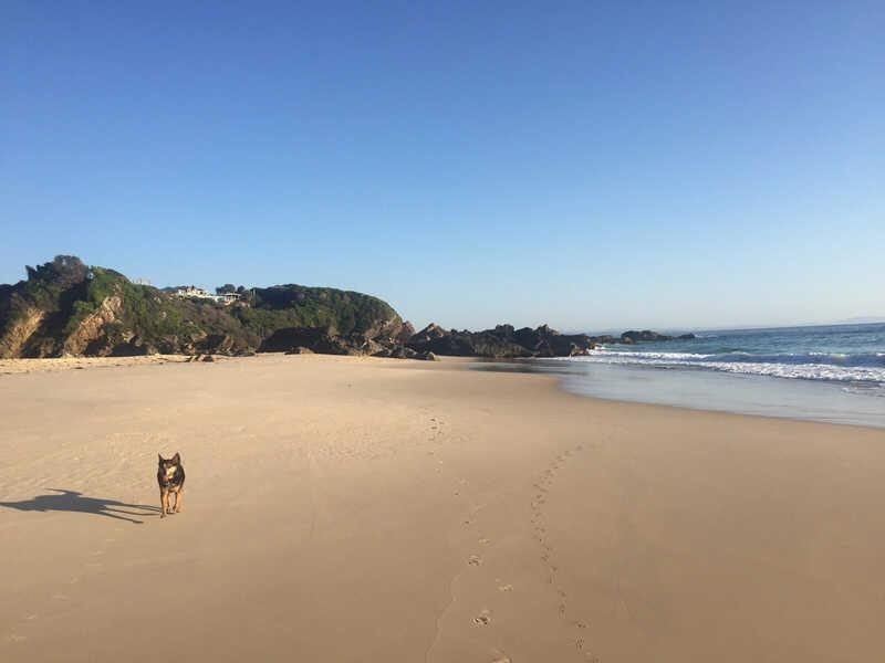 3/19  Burgess Rd, Forster NSW 2428