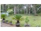 21 Zamia Pl, Forster NSW 2428
