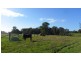 67  Glen Ora Rd, Nabiac NSW 2312