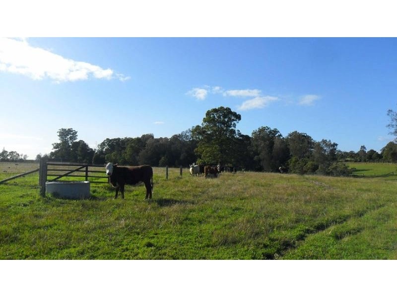 67  Glen Ora Rd, Nabiac NSW 2312
