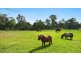 67  Glen Ora Rd, Nabiac NSW 2312