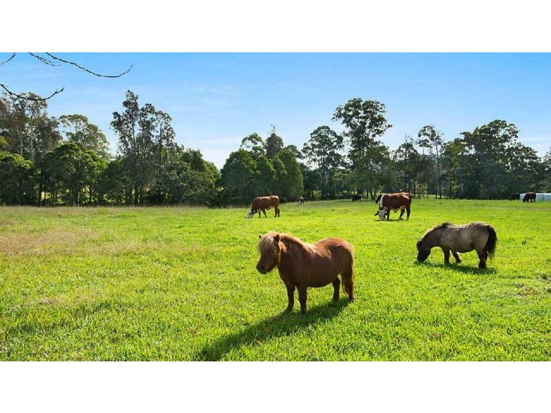 67  Glen Ora Rd, Nabiac NSW 2312