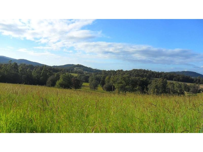 496 Avalon Rd, Dyers Crossing NSW 2429