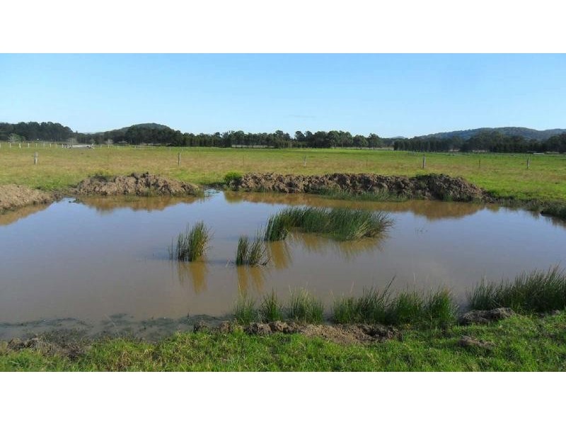 67 Glen Ora Rd, Nabiac NSW 2312