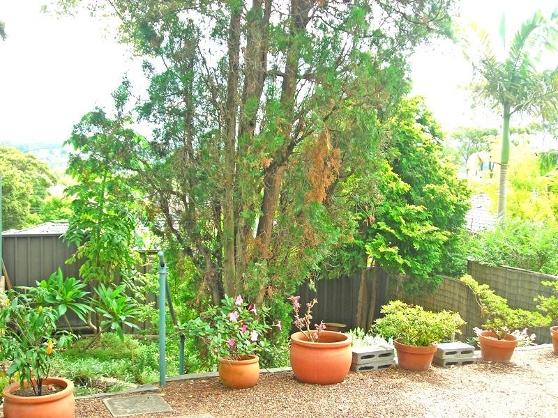 2/260 Pacific  Hwy, Charlestown NSW 2290