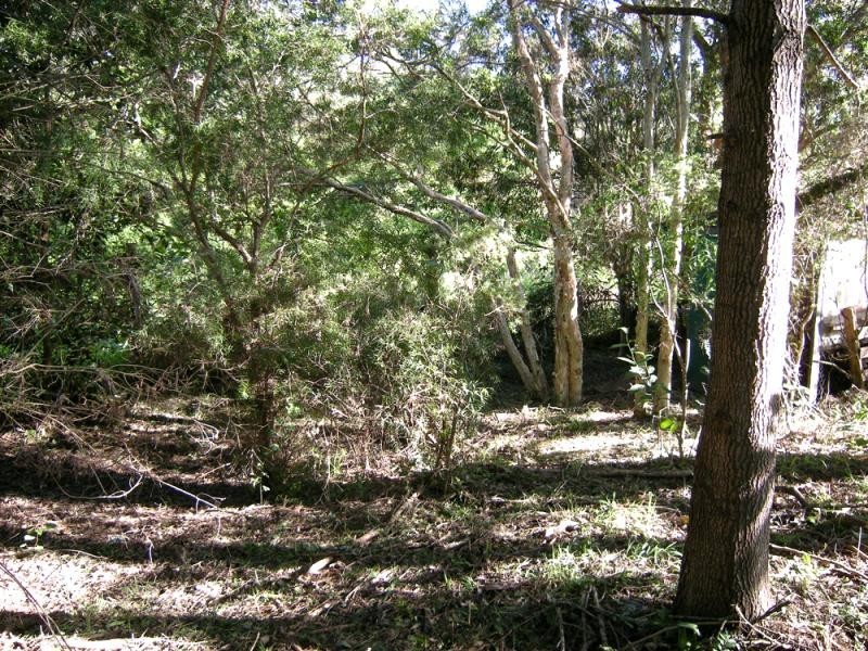 7 Kirkdale Rd, Kotara South NSW 2289