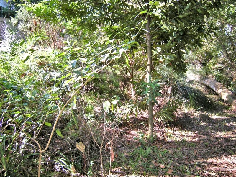 7 Kirkdale Rd, Kotara South NSW 2289