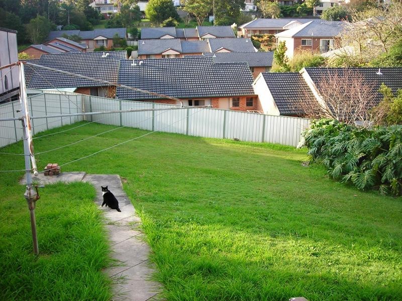 40 Tirriki St, Charlestown NSW 2290