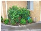 2/78 Georgetown Rd, Georgetown NSW 2298