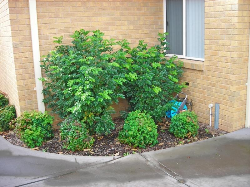 2/78 Georgetown Rd, Georgetown NSW 2298