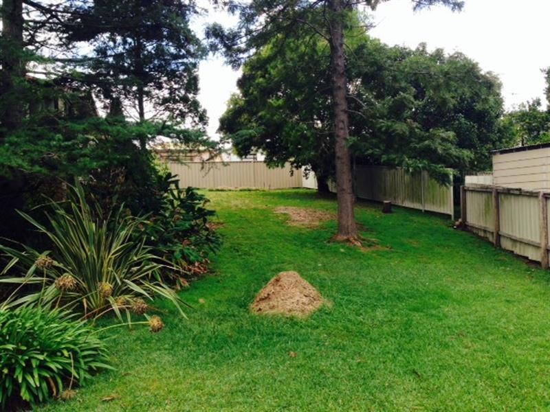 13a Henry St, Cardiff NSW 2285