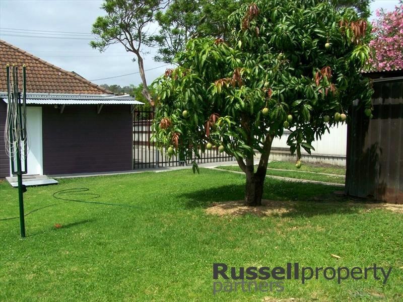 128 Elder St, Lambton NSW 2299