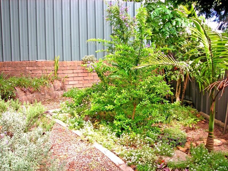 2/260 Pacific Hwy, Charlestown NSW 2290