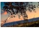 Toukley NSW 2263