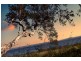 Toukley NSW 2263