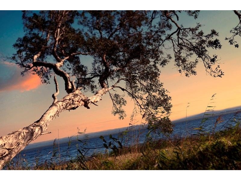 Toukley NSW 2263
