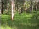 Cooranbong NSW 2265