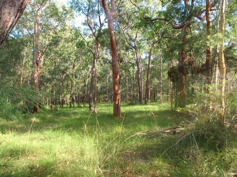 Cooranbong NSW 2265