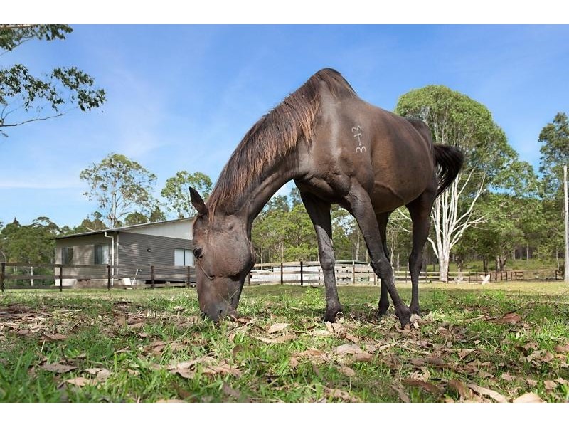 242 Durren Rd, Jilliby NSW 2259