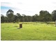 Wadalba NSW 2259