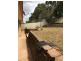 10 Greybox Cl, Hamlyn Terrace NSW 2259