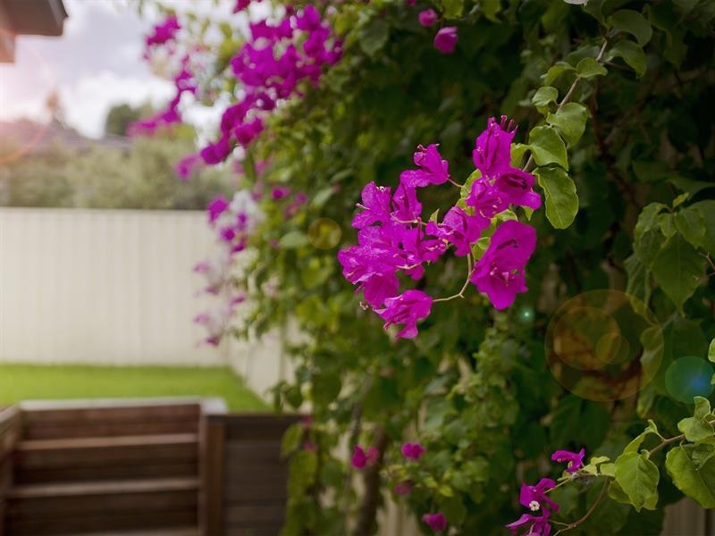 Hamlyn Terrace NSW 2259