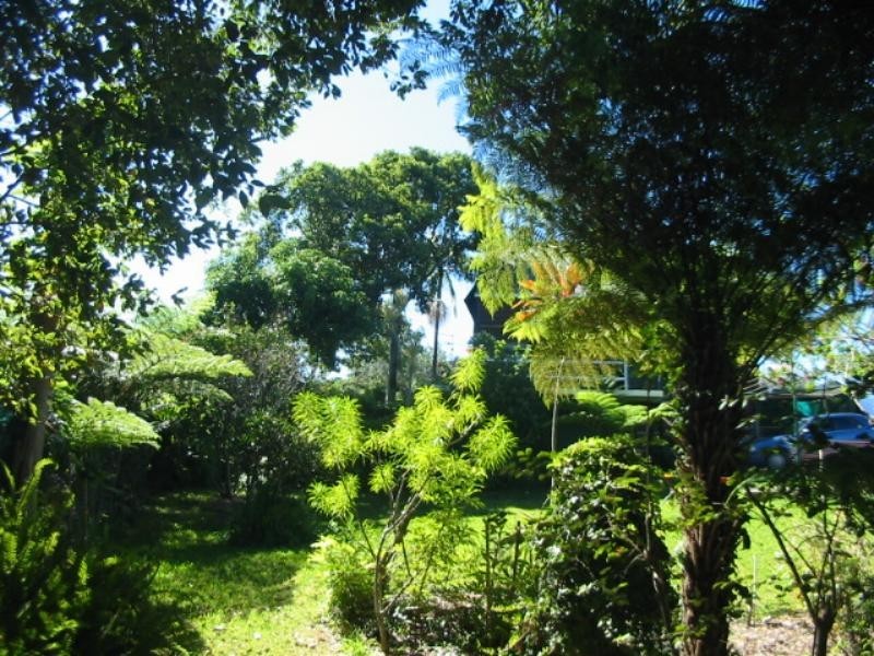 247 Sawtell Rd, Boambee East NSW 2452