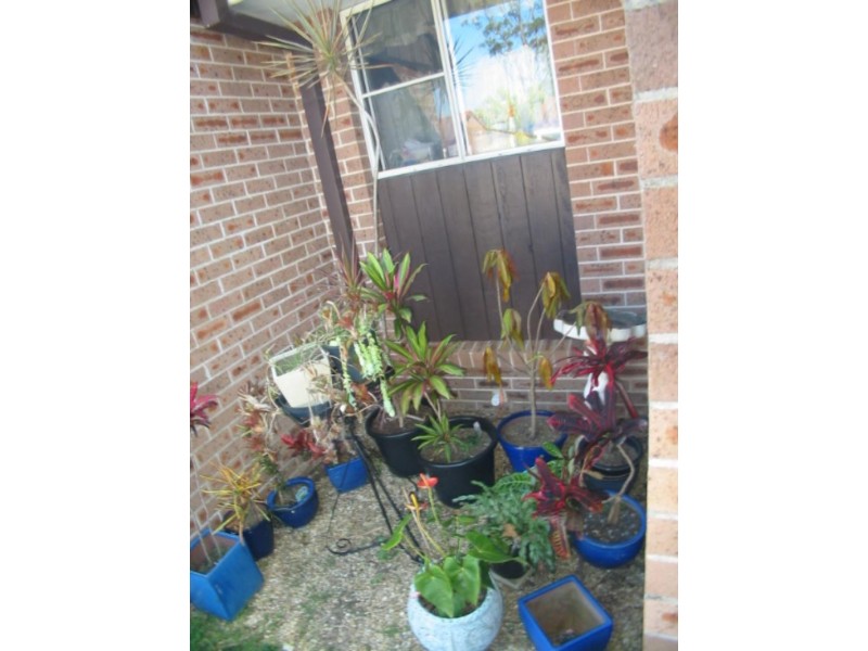 4/22-24 Nariah Cres, Toormina NSW 2452